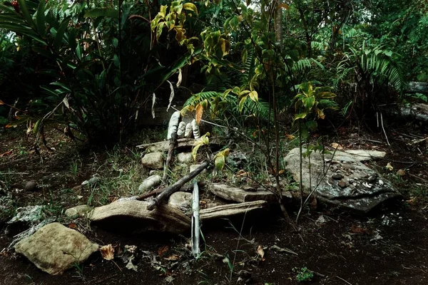 Walarano Köyü, Malekula Island / Vanuatu Cumhuriyeti - 9 Temmuz 2016: büyülü taşlar ve diğer kutsal eserler kutsal mezar yerinde