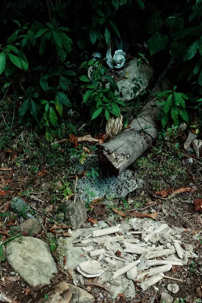 Village Walarano Île Malekula Vanuatu Jul 2016 Restes Humains Crâne Photo De Stock