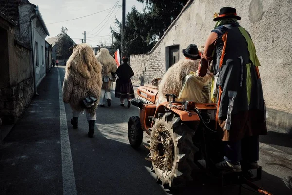 Mohacs Baranya Hungría Feb 2017 Participantes Tradicionales Llamados Buso Del —  Fotos de Stock