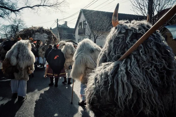 Mohacs Baranya Hongrie Février 2017 Participants Traditionnels Appelés Buso Événement — Photo