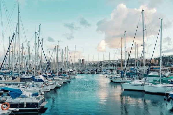 Las Palmas, Gran Canarias, Kanarya Adaları / İspanya - 22 Kasım 2018: Yelkenli demirleyen ark 2018 Atlantik geçişi yelkenli günbatımı sırasında başlamadan önce duba sadece gün bekliyor