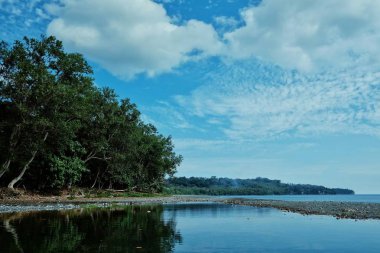 Lolits Köyü, Espiritu Santo Adası / Vanuatu Cumhuriyeti - 10 Ağustos 2016: güzel çarpıcı tropik cenneti sığ Pasifik Okyanusu Deniz Sahil plaj gün batımında yağmur ormanları orman ile