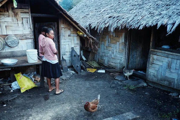 兰利斯村 埃斯皮诺岛埃斯皮里图 2016年8月10日 当地的村庄女孩等待旁边他们的传统竹编织棕榈树小屋与鸡 — 图库照片