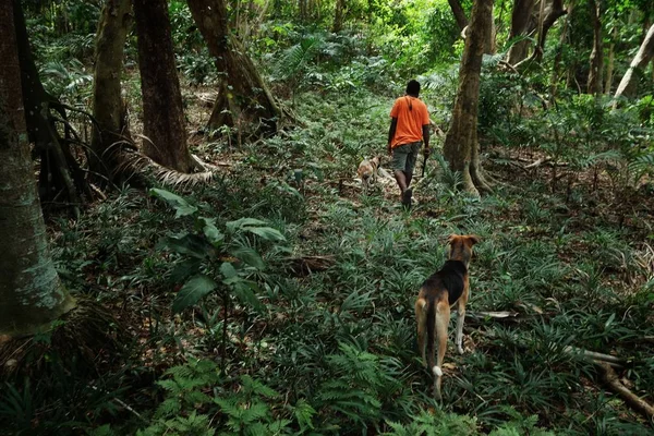 Lolits Köyü Espiritu Santo Adası Vanuatu Cumhuriyeti Ağustos 2016 Bazı — Stok fotoğraf