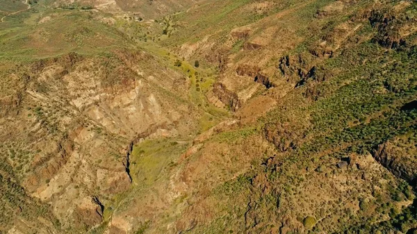 güneşli bir günde bir vadi palmiye ağaçları ile Degollada de La Yegua bakış açısıyla kapalı görüş hava dron imge güzel çarpıcı manzara
