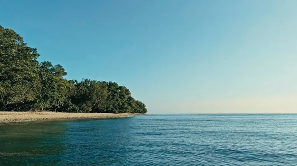 Hava dron görüntü kumlu plaj sahil ve güzel okyanus deniz deniz manzarası ve yemyeşil tropikal yağmur ormanları orman ile uzak bir Güney Pasifik Adası