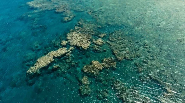 harika bir mercan kayalığı sakin hava düz su ve inanılmaz renkli deniz okyanus yatağına küçük bir uzaktan izole tropikal ada etrafında çarpıcı havadan dron görüntü
