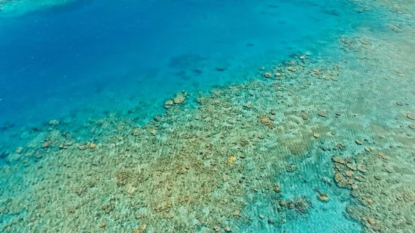 bir büyük mercan resif deniz kanal sakin hava düz su ve inanılmaz renkli deniz okyanus yatağına küçük bir uzaktan izole tropikal ada etrafında çarpıcı havadan dron görüntü