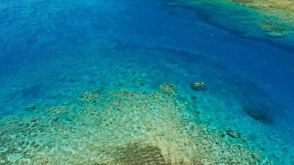 Bir Büyük Mercan Resif Deniz Kanal Sakin Hava Düz Inanılmaz — Stok fotoğraf