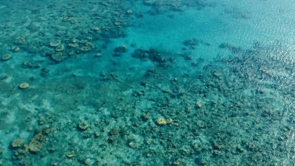 Deslumbrante Drone Aéreo Imagem Grande Recife Coral Clima Calmo Água — Fotografia de Stock