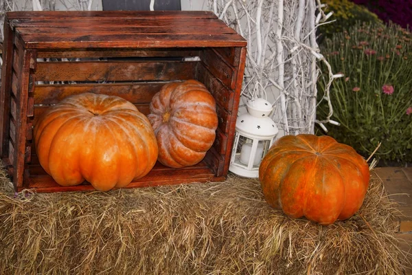 Autumn Pumpkins Wooden Box Straw — Stock Photo, Image