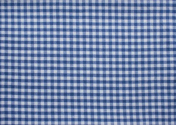blue and white checkered fabric background