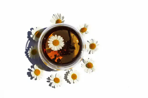 Két pohár kamilla tea vagy pohár fehér alapon chamomiles. Koncepció alternatív tea — Stock Fotó