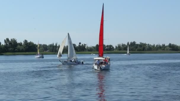 Chersoń Ukrane Czerwiec 2019 Łódź Regatach Żeglarskich Rzece Dniper — Wideo stockowe