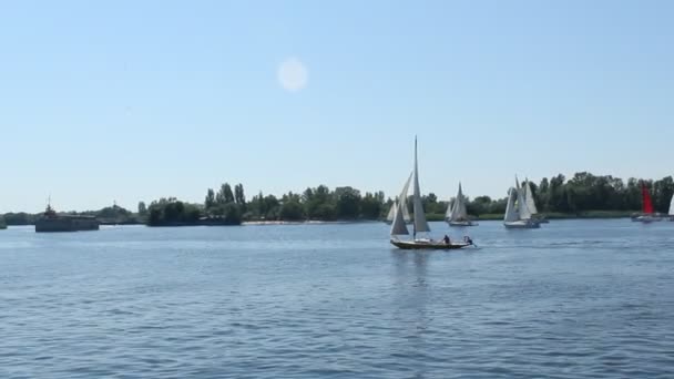 赫尔森 乌克兰 2019年6月1日 在尼珀河上航行的帆船 — 图库视频影像