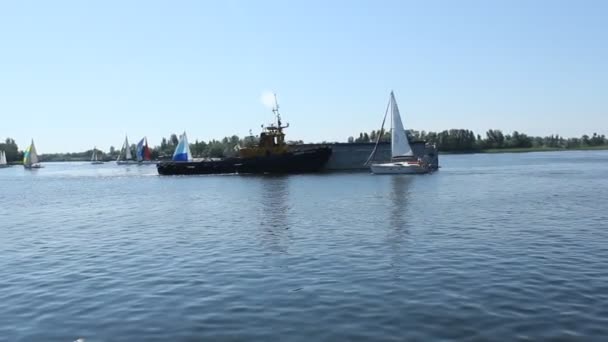 赫尔森 乌克兰 2019年6月1日 在尼珀河上航行的帆船 — 图库视频影像