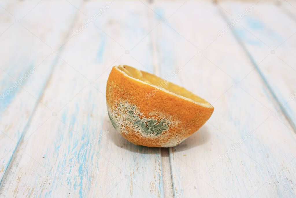 Half a rotten lemon. Lemon with green and white mold on white wooden background