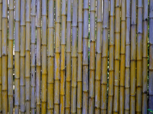 Seco Cerca Bambu Textura Fundo — Fotografia de Stock