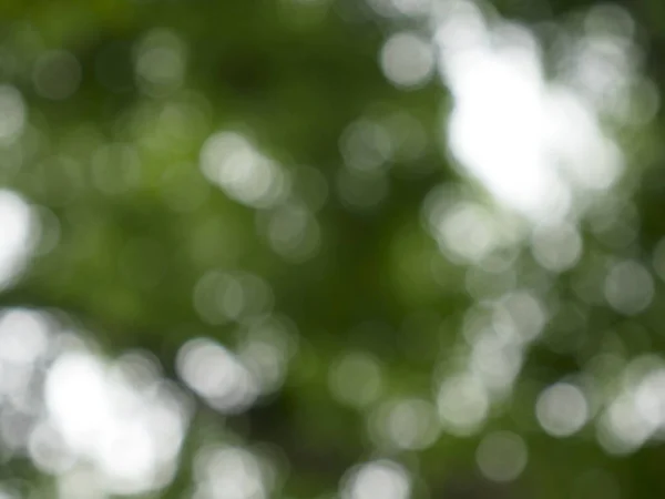 Soyut doğa yeşil bokeh daire arka plan defocused.