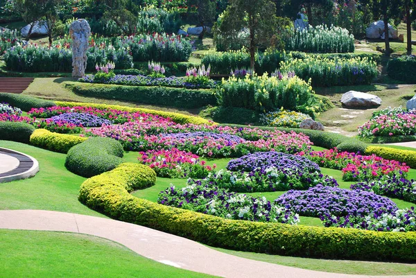 Belles Fleurs Colorées Dans Jardin Images De Stock Libres De Droits