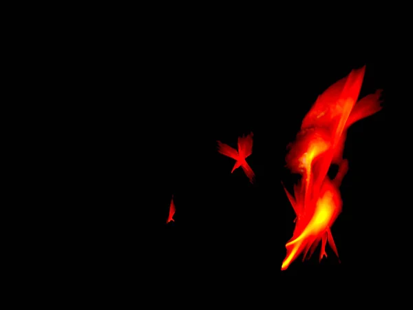 Fuego Llama Aislar Sobre Fondo Negro Con Espacio Copia — Foto de Stock