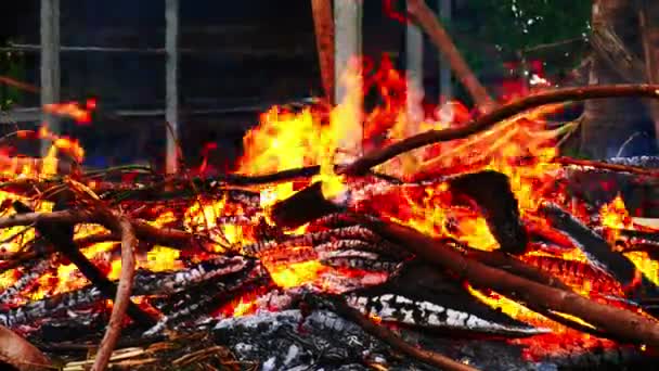 Close Van Brandende Vuur Vlam Met Verbrand Brandhout — Stockvideo