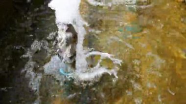 Pazar için dekore etmek için inşa edilmiş bir çeşme.