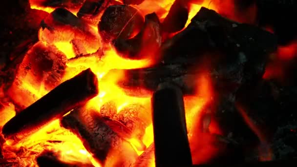 Ein Feuer Das Holzkohle Ofen Für Den Grill Verbrennt — Stockvideo