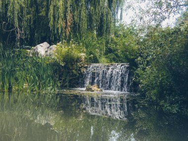 Göl kenarında güzel küçük şelaleler 