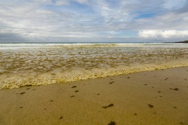 Red Tide Galapagos Adaları, Ekvador