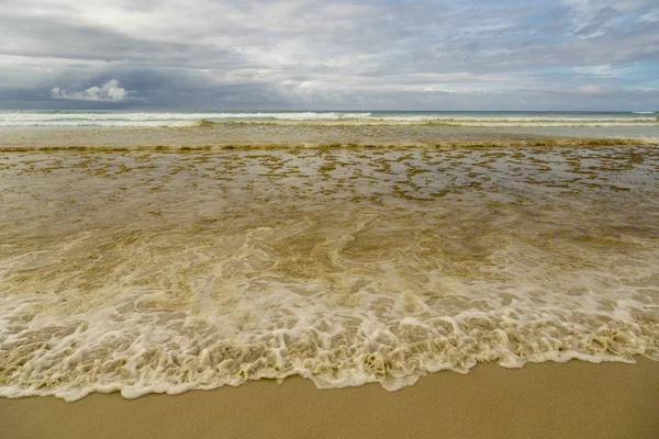 Red Tide in Galapagos Islands, Ecuador