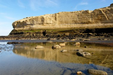 Patagonya 'daki Cliff. Monte Leon Ulusal Parkı 2004 'ten beri ülkemizin ilk kıta deniz parkı haline geldi.