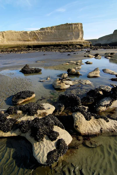 Cliff Patagonia Parco Nazionale Del Monte Leon Dal 2004 Diventa — Foto Stock