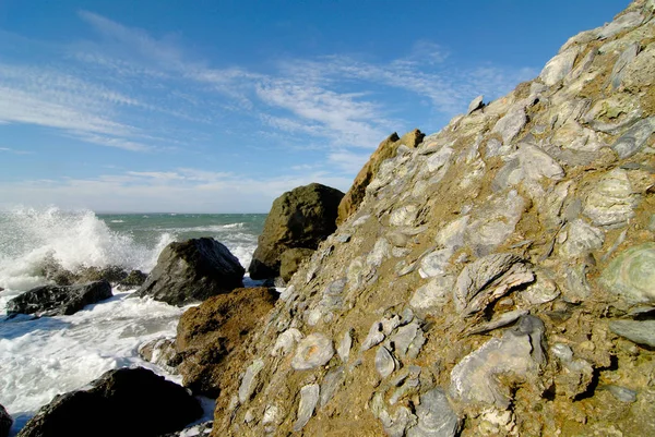 Scogliera Patagonia Costiera Con Ostriche Fossili — Foto Stock