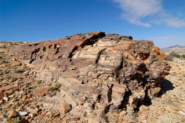 Petrified Woods Patagonia Due Need Protecting Petrified Forests Bosques Petrificados — Stock Photo, Image