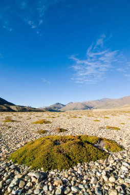 Rüzgar aşınması düz alan