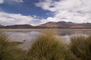 Bolivya 'daki Eduardo Avaroa Andean Ulusal Rezervi içindeki Laguna Hedionda (Kötü Kokulu Lagün)