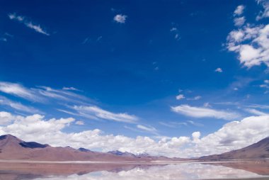 Bolivya 'daki Eduardo Avaroa Andean Ulusal Rezervi içindeki Laguna Colorada (Kırmızı Lagoon)