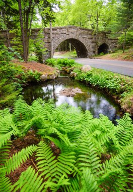 Acadia Milli Parkı, Maine