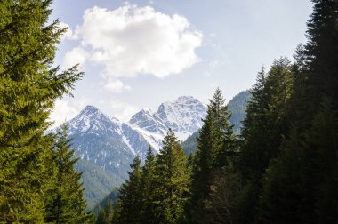 Kuzey Şelaleleri Ulusal Parkı