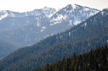 Kasırga ridge olimpik Milli Parkı