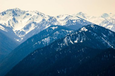 Kasırga ridge olimpik Milli Parkı