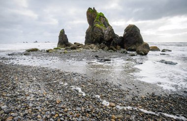 Ruby Beach olimpik Milli Parkı içinde