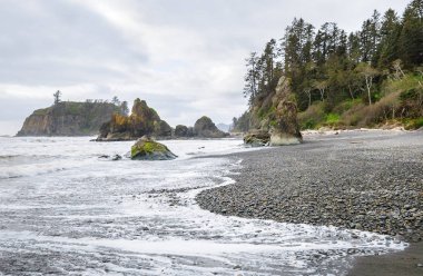 Ruby Beach olimpik Milli Parkı içinde