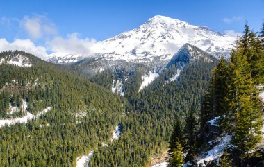 rainier Dağı Milli Parkı