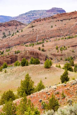 John gün fosil yataklar Ulusal Anıtı