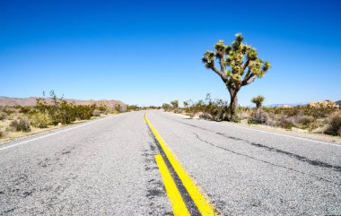 Joshua Tree Ulusal Parkı