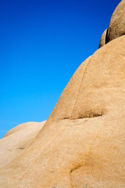 Joshua Tree Ulusal Parkı