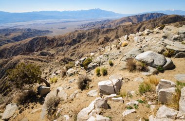 Joshua Tree Ulusal Parkı