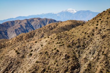 Joshua Tree Ulusal Parkı
